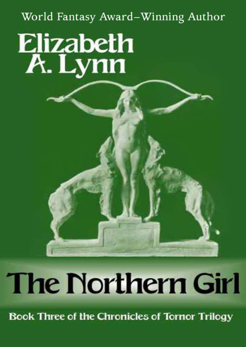 Cover image for book The Northern Girl