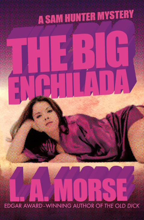 Cover image for book The Big Enchilada