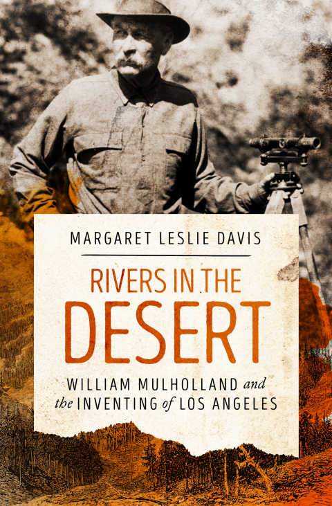 Cover image for book Rivers in the Desert