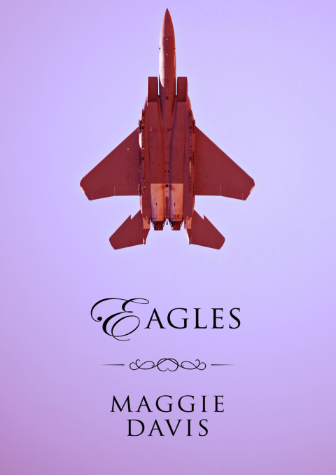 Cover image for book Eagles
