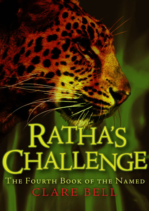 Cover image for book Ratha's Challenge