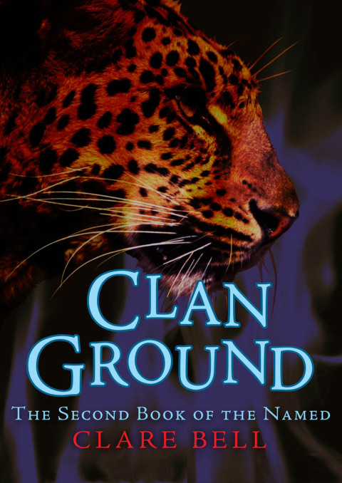 Cover image for book Clan Ground