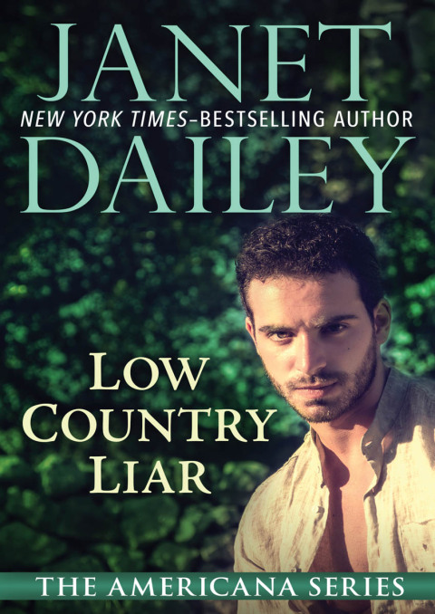 Cover image for book Low Country Liar