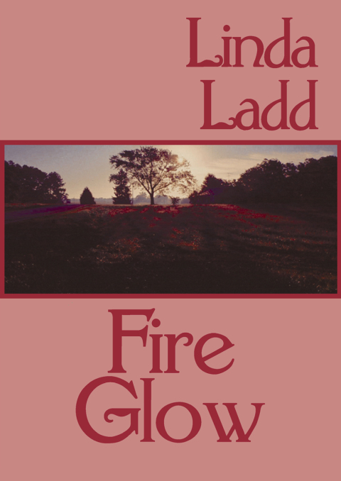Cover image for book Fire Glow