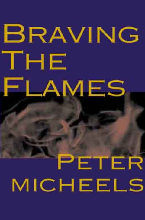 Cover image for book Braving the Flames