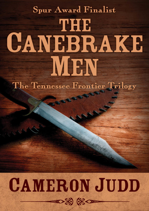 Cover image for book The Canebrake Men