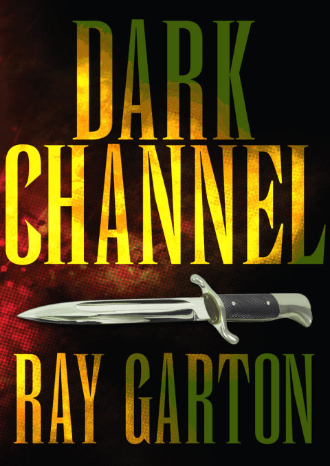 Cover image for book Dark Channel