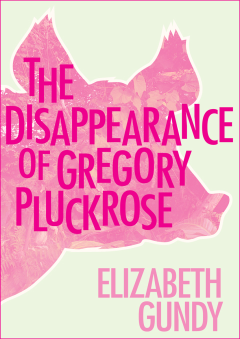 Cover image for book The Disappearance of Gregory Pluckrose