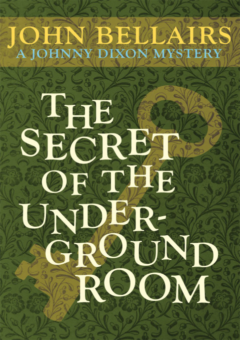 Cover image for book The Secret of the Underground Room