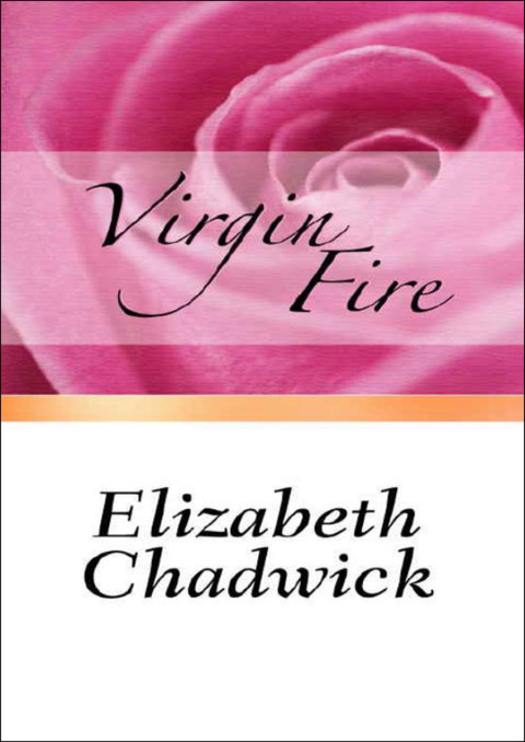 Cover image for book Virgin Fire