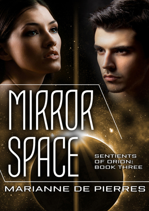 Cover image for book Mirror Space
