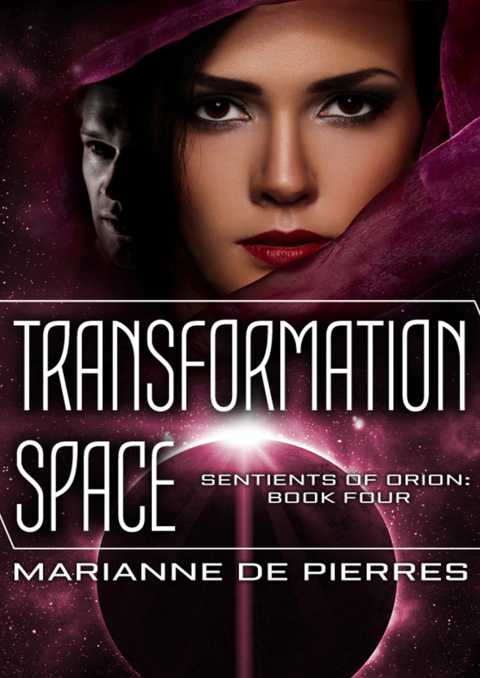 Cover image for book Transformation Space