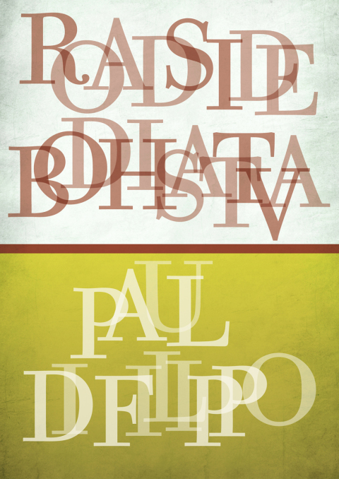 Cover image for book Roadside Bodhisattva