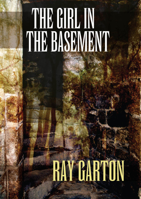 Cover image for book The Girl in the Basement