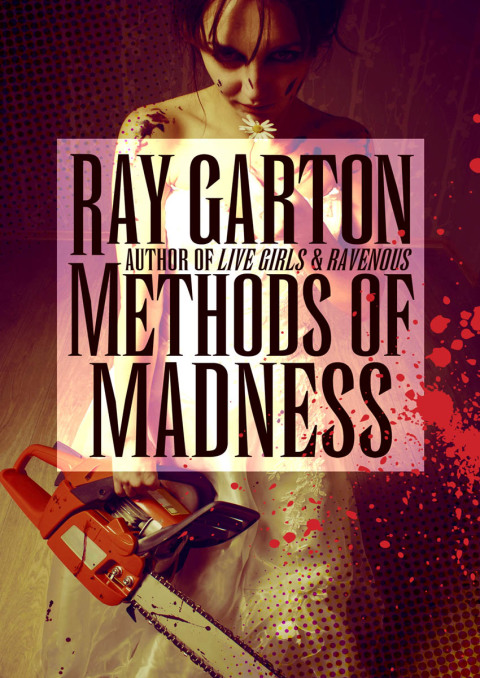 Cover image for book Methods of Madness