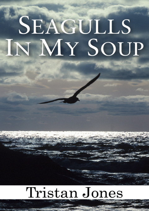 Cover image for book Seagulls in My Soup