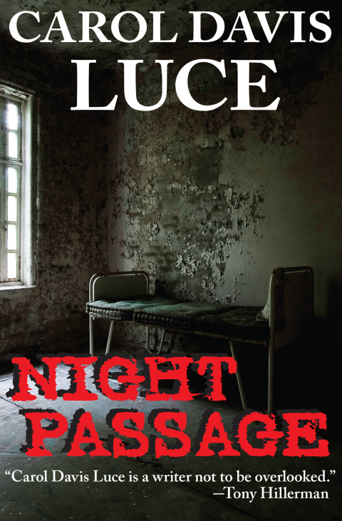 Cover image for book Night Passage