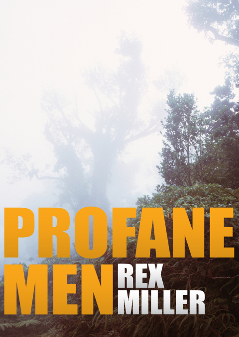 Cover image for book Profane Men