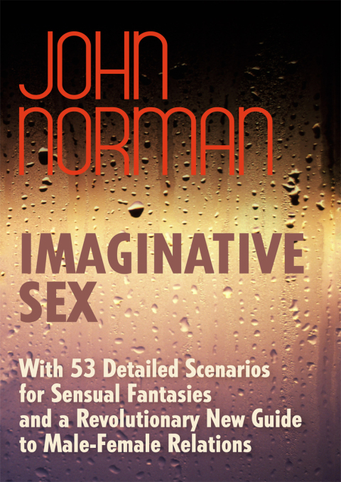 Cover image for book Imaginative Sex