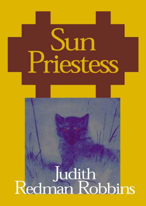 Cover image for book Sun Priestess