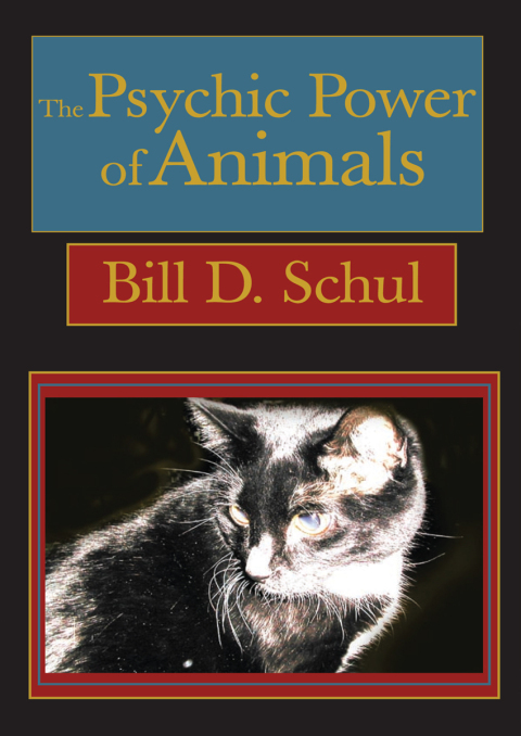 Cover image for book The Psychic Power of Animals