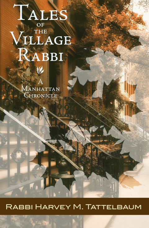 Cover image for book Tales of the Village Rabbi
