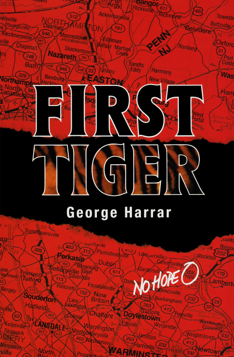 Cover image for book First Tiger