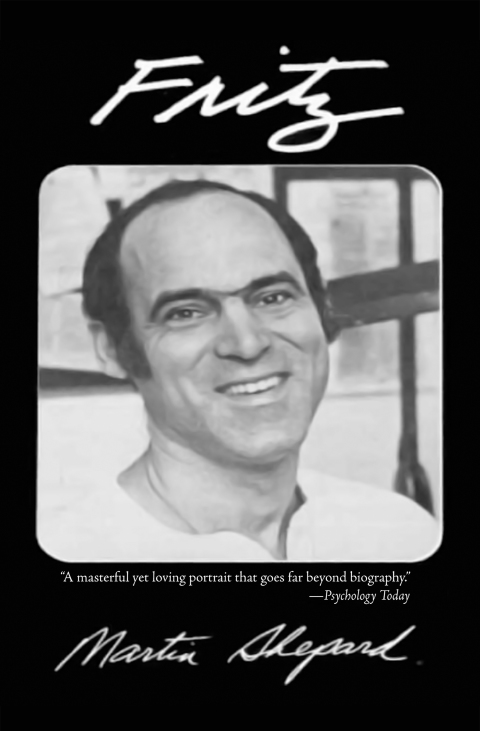 Cover image for book Fritz