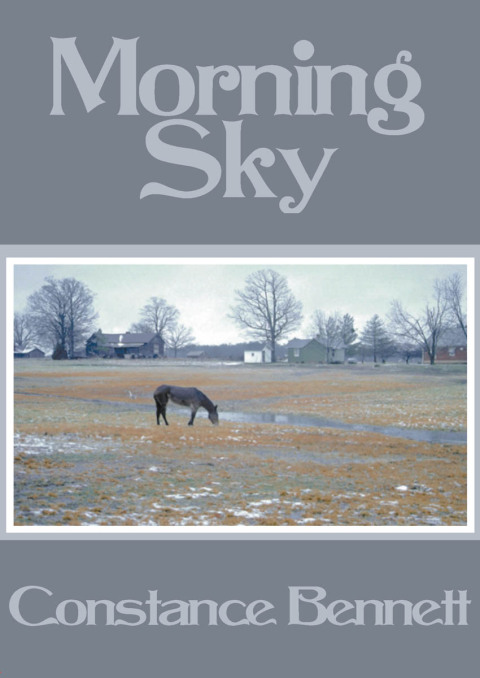 Cover image for book Morning Sky