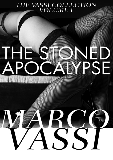 Cover image for book The Stoned Apocalypse
