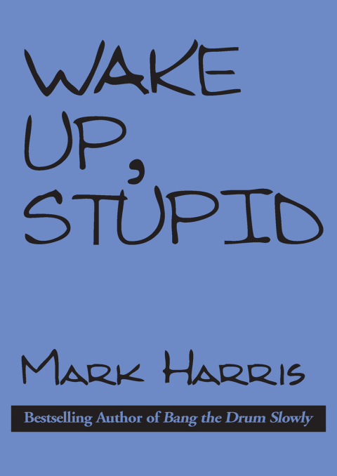 Cover image for book Wake Up, Stupid