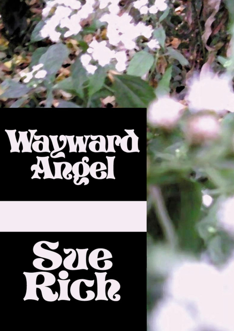 Cover image for book Wayward Angel