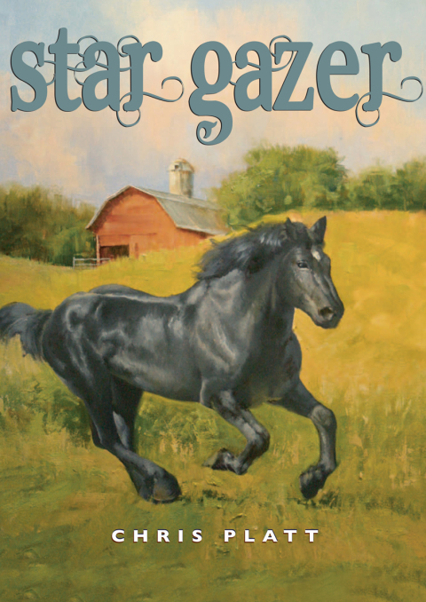 Cover image for book Star Gazer