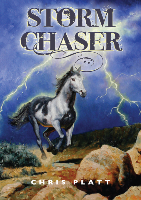 Cover image for book Storm Chaser