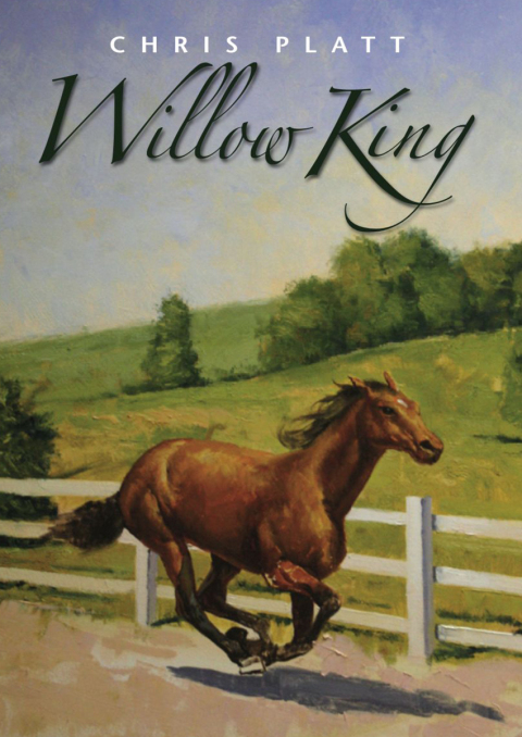 Cover image for book Willow King