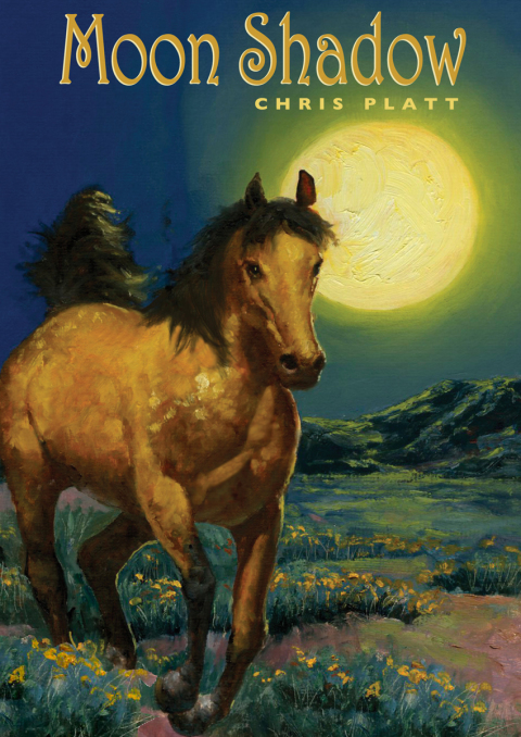 Cover image for book Moon Shadow