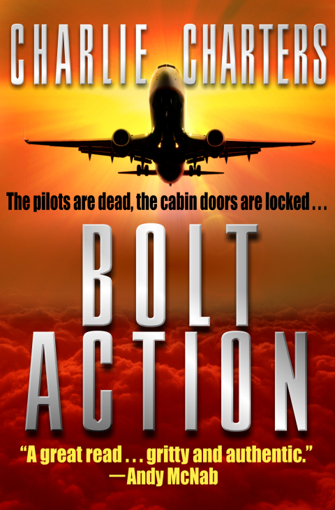 Cover image for book Bolt Action