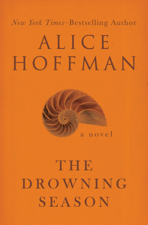Cover image for book The Drowning Season