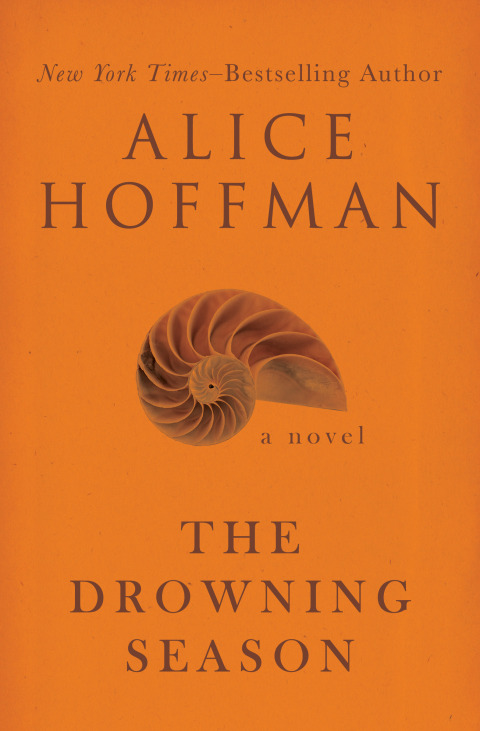 Cover image for book The Drowning Season