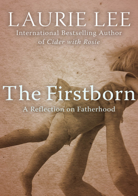 Cover image for book The Firstborn