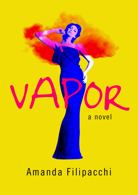 Cover image for book Vapor