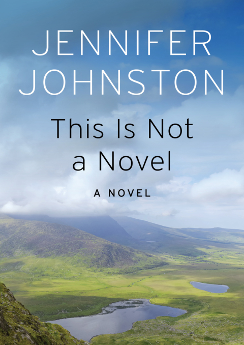 Cover image for book This Is Not a Novel