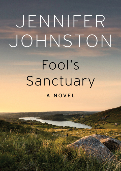 Cover image for book Fool's Sanctuary