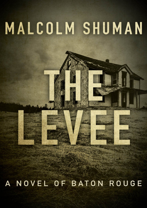 Cover image for book The Levee