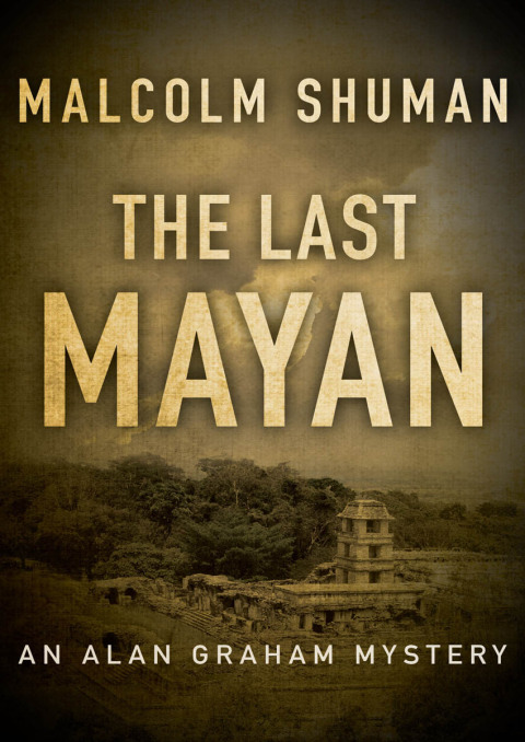 Cover image for book The Last Mayan