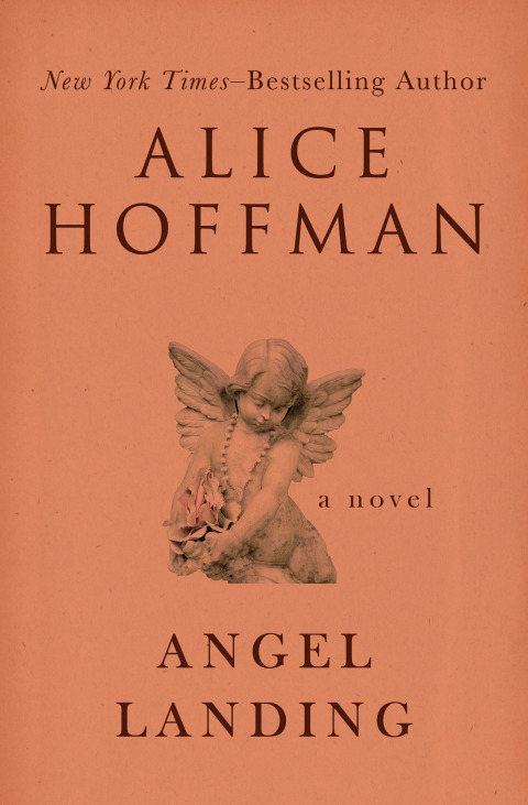 Cover image for book Angel Landing