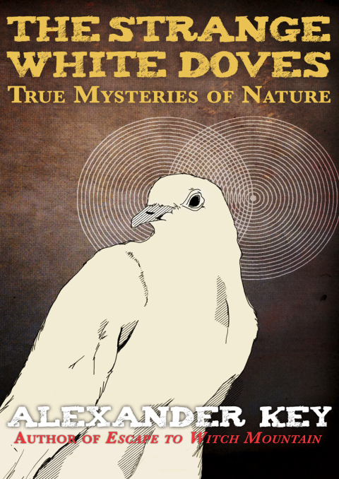 Cover image for book The Strange White Doves