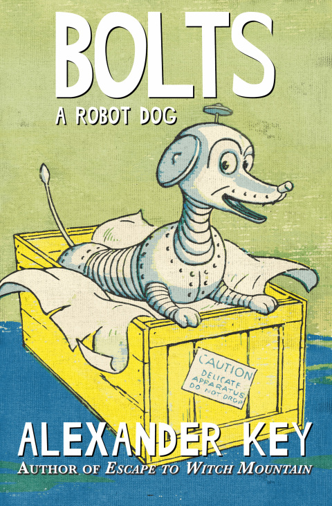 Cover image for book Bolts