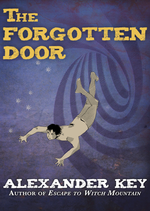 Cover image for book The Forgotten Door