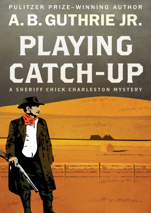 Cover image for book Playing Catch-Up